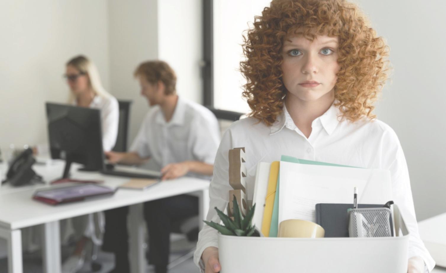 Professional budget analysis dashboard showing monthly variance reports and financial trends